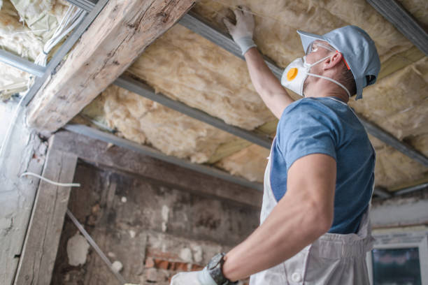 Best Residential Insulation in Dorneyville, PA