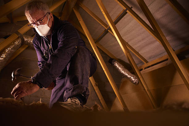 Best Insulation for Specific Applications in Dorneyville, PA